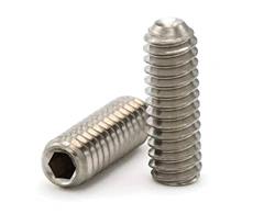 Hastelloy C22 Socket Set Screw